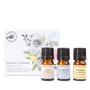 The Stoic Collection Essential Oil Trio