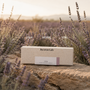 VIVID | Lavender, Frankincense & Cedarwood | Deep Relax
