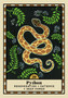 The Omen Oracle A 44-Card Deck & Guidebook by Cat Pierce
