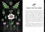Deadly Apothecary Oracle: Poisonous plants as guides and healers by Priestess Moon