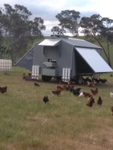 Types of Chicken Feeders: How to Choose the Right One for Your Flock