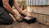 The New Rat Bait Rules: How to Bait Legally Around a Chicken Coop