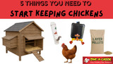 Top 5 Things You Need to Get Started with Keeping Chickens