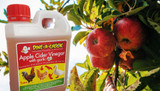 Does Apple Cider Vinegar help stop Coccidiosis in Chickens