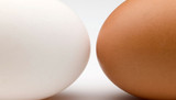 Brown eggs vs White eggs which is healthier