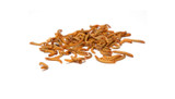 Rehydrate Dried Mealworms