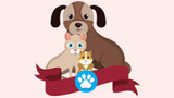 Is Coopex Safe for Pets?