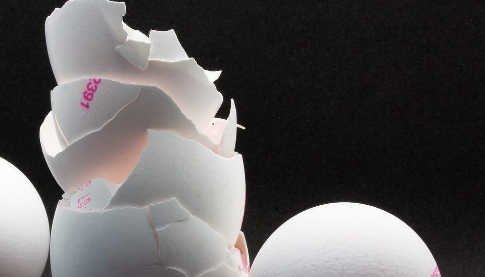 Should you feed egg shells to chickens? Dine a Chook