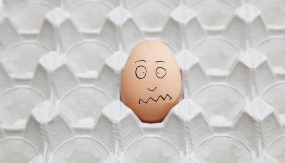 Top 6 Why Chickens not laying? Find a solution DineAChook