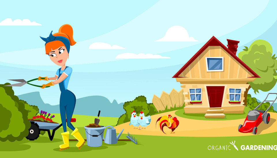 Victory Gardens... and Chickens DineAChook