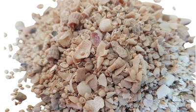 Shell Grit for Chickens: Why Your Hens Need It and How to Get It Right