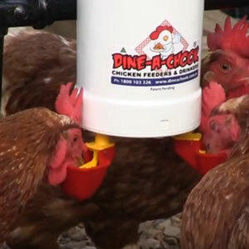 Dine a Chook Chicken Drinker Triple Pack - 6 lubing cups Dine a Chook Chicken Drinker Triple Pack - 6 lubing cups