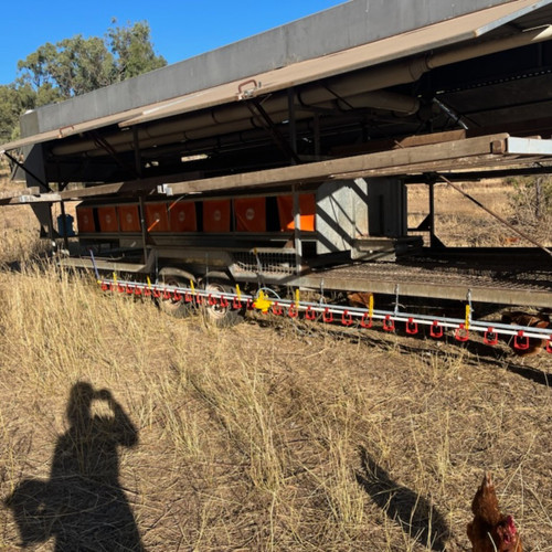 6 Nipple Commercial Poultry Drinker Line - Up to 72 Birds