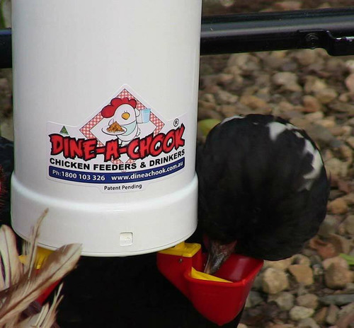 Dine a Chook Chicken Feeder and Two Drinker Kit Twin Cup Dine a Chook Chicken Feeder and Two Drinker Kit Twin Cup