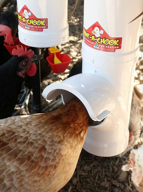 Dine a Chook Chicken Feeder and Two Drinker Kit Twin Cup Dine a Chook Chicken Feeder and Two Drinker Kit Twin Cup