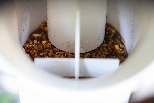 Close-up of large chicken feeder waste-reducing hooded base opening with fixed paddles
