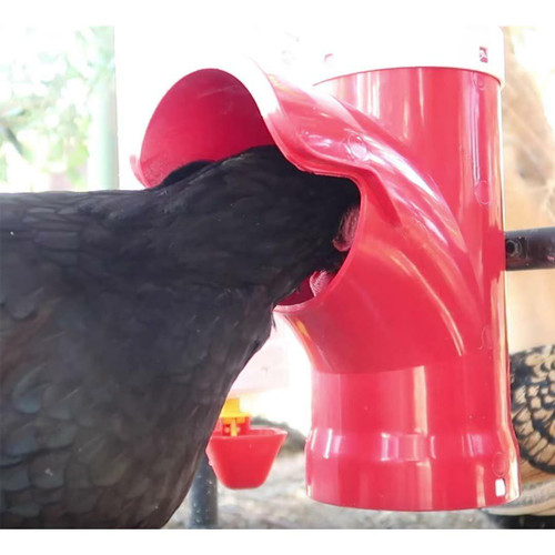 Dine a Chook Chicken Feeder Red Base 3.5 Litre