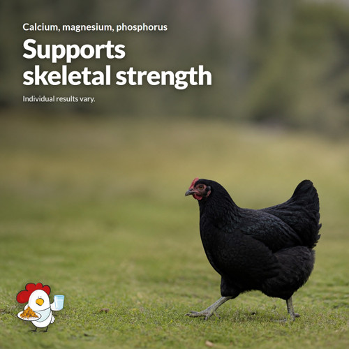 Trace minerals in Dine-A-Chook Mega Mineral support skeletal strength - calcium, magnesium and phosphorus