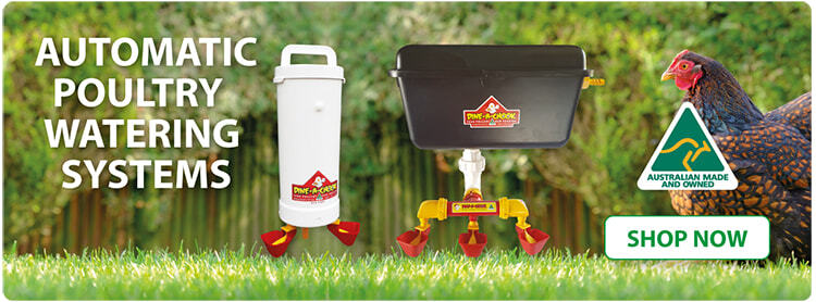Automatic Chicken Waterers For Australian conditions | Dine A Chook