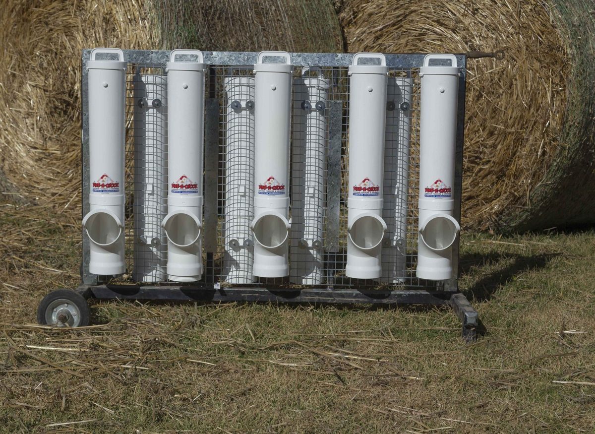 Five Dine-A-Chook feeders mounted on a wheeled mesh trolley in a paddock