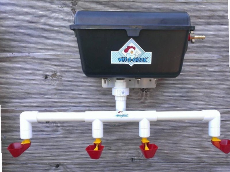 Original Dine-A-Chook mains pressure drinker built in 2010, still in use after 15 years
