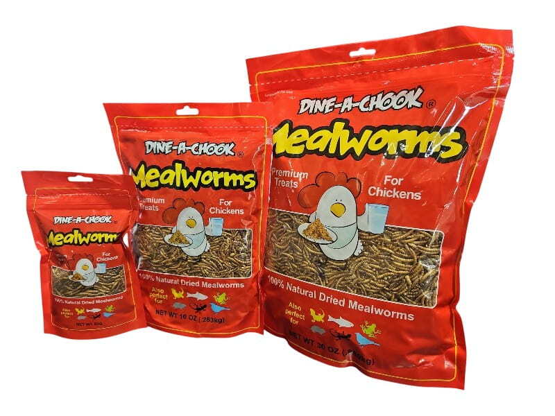Dine-A-Chook dried mealworms range - available in 80g, 283g, 850g, 1.7kg, 2.55kg and 3.4kg bags