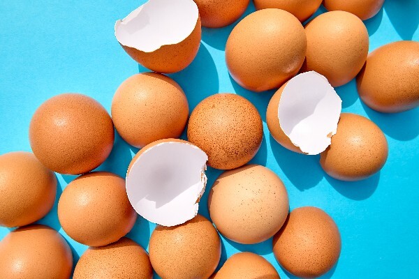 Strong healthy egg shells from well-nourished laying hens