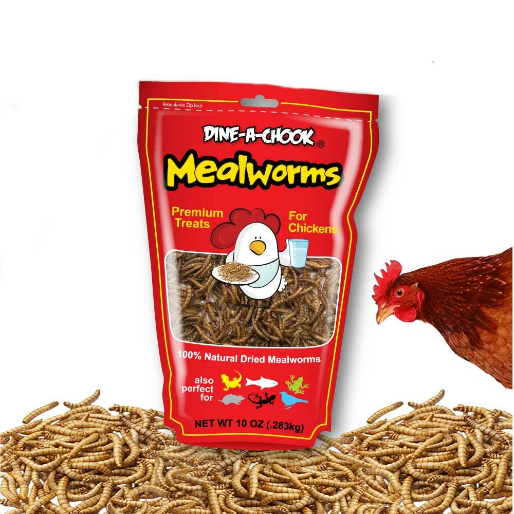 Dried Mealworms 283g ยท Buy Mealworms for Chickens ยท Shop Now