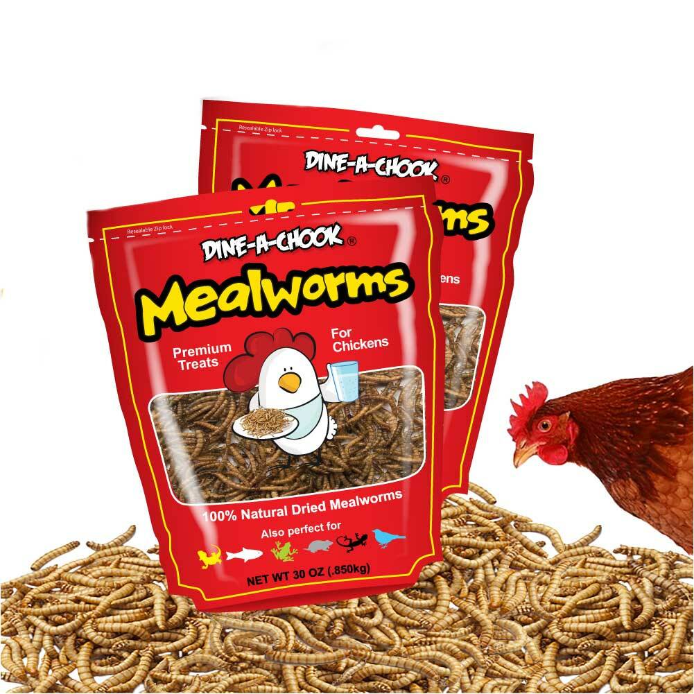 Dried Mealworms 1.7kg · TASTY CHICKEN TREATS · Shop Dine A Chook