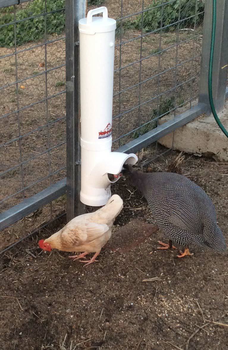 Three large chicken feeders spread across a hobby farm chicken run