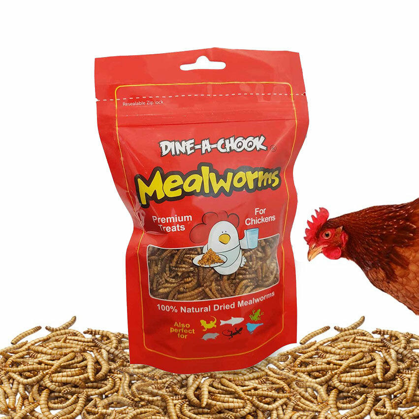 Dried Mealworms 80gm · High Protein Treat for Chickens · Dine A Chook