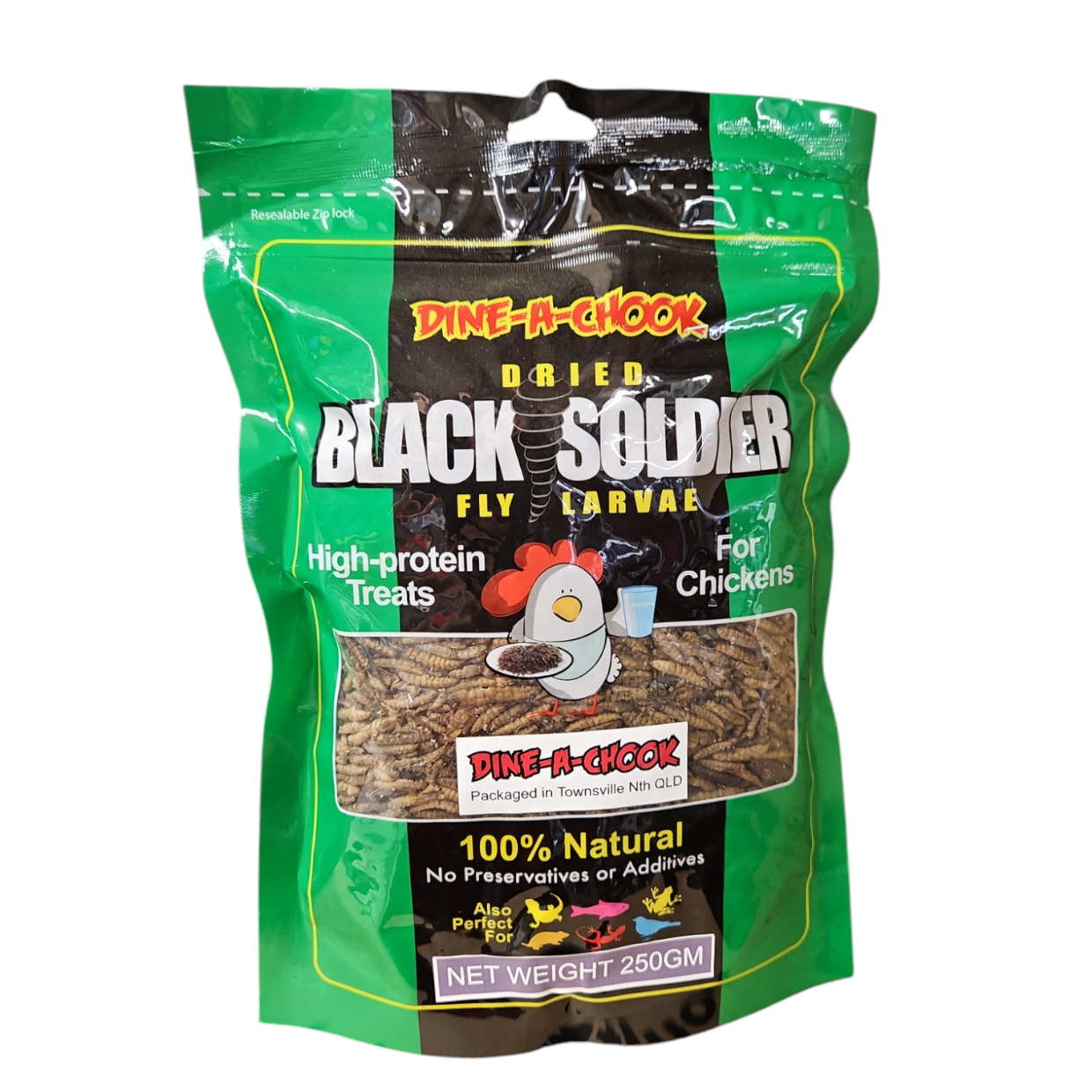 Black Soldier Fly Larvae