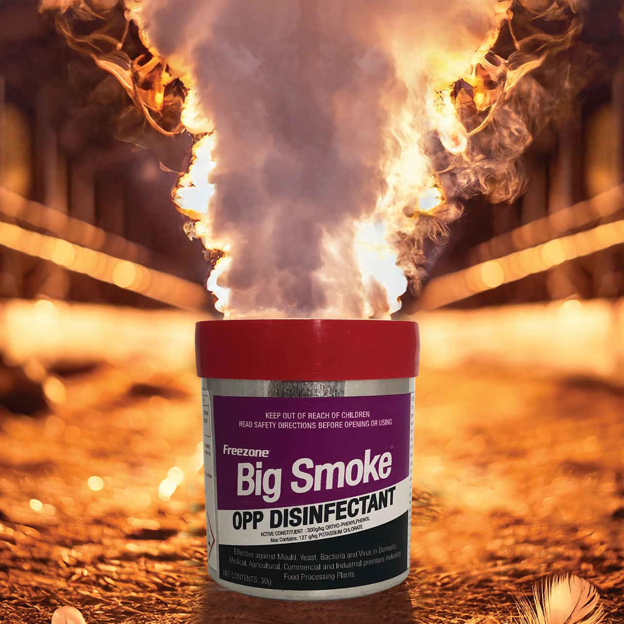 Big Smoke disinfectant smoke rising from a tin inside an empty poultry shed