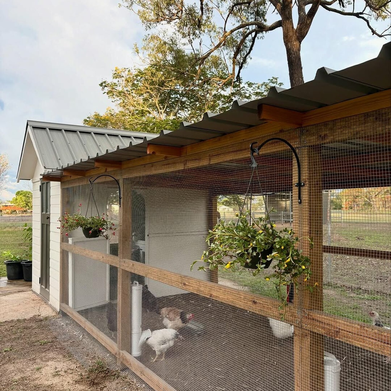 Dine-A-Chook Large Chicken Feeders installed inside a beautifully designed backyard chicken coop with hanging plants