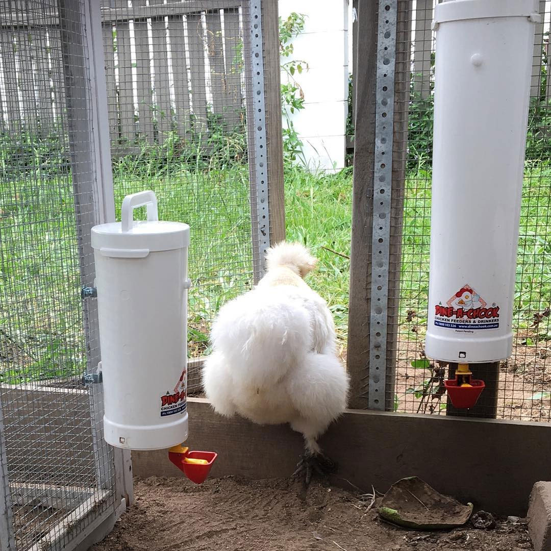 2litre-pvc-chicken-drinker.jpg