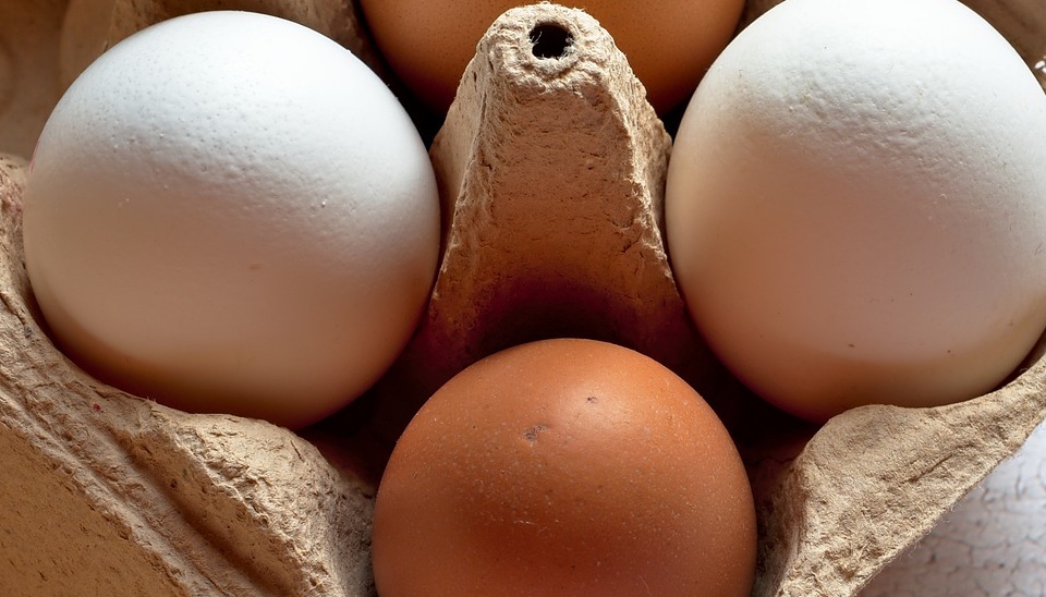 Guide to Egg Sizes, Weight & Differences