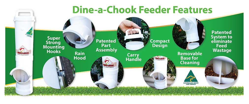 chicken-feeder-features.jpg