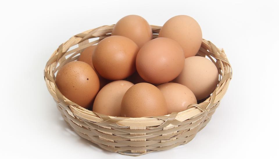 How to Collect, Clean, and Store Fresh Chicken Eggs