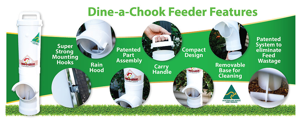 Dine a Chook chicken feeder features