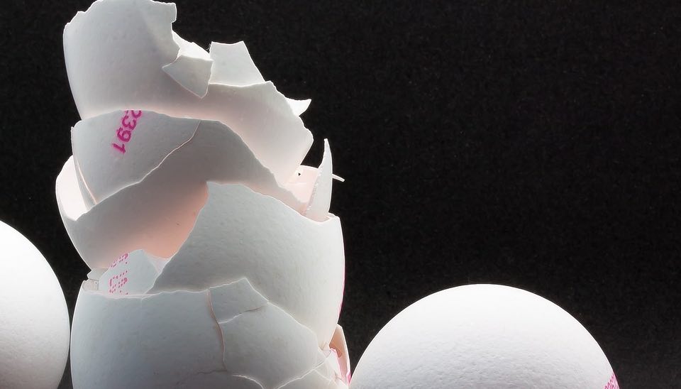 Should you feed egg shells to chickens? Dine a Chook
