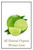 All Natural Lime Persian Organic Olive Oil available at Love At First Bite Mercantile in Idaho Falls, Idaho | Twig & Vine Olive Oil Co.