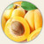 Blenheim Apricot White Balsamic Condimento