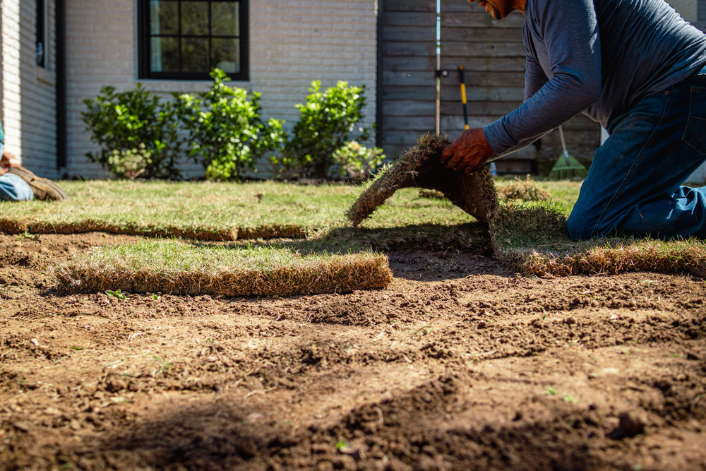 How Late in the Year Can You Lay Sod? Understanding Ideal Weather Conditions for Sod Installation How Late in the Year Can You Lay Sod? Understanding Ideal Weather Conditions for Sod Installation