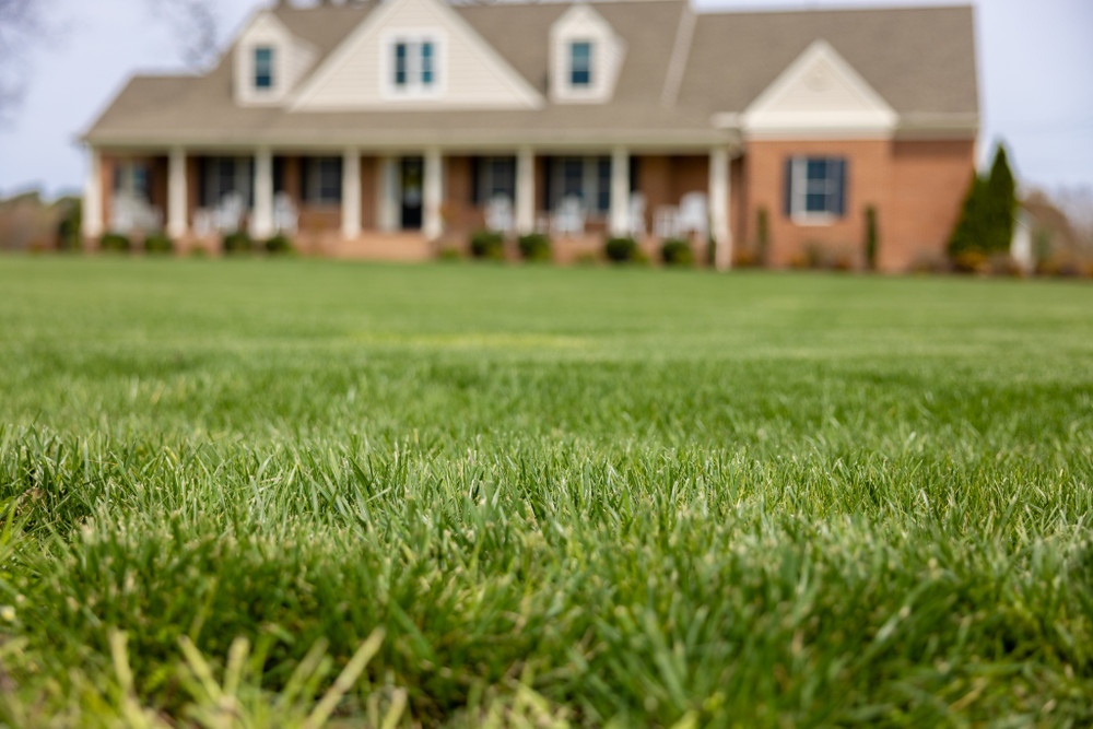 Sod Installation in Richmond, VA | Best Grass Types & Seasonal Lawn Guide
