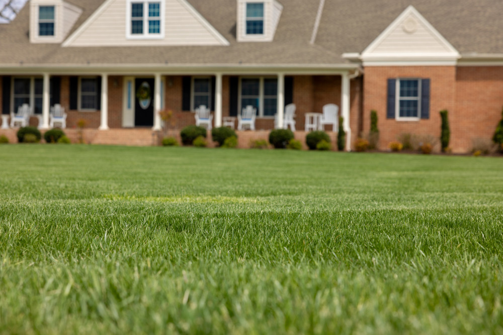 The Value of New Sod: Boosting Home Equity with a Lush Lawn
