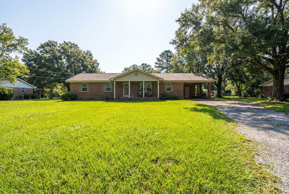 Centipede Grass Guide: Low-Maintenance Lawn Care Tips