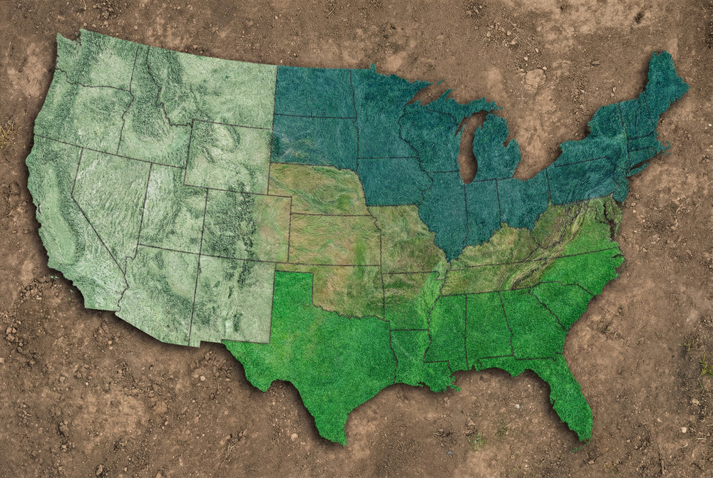 Best Grass Types by Region: The Complete US Guide