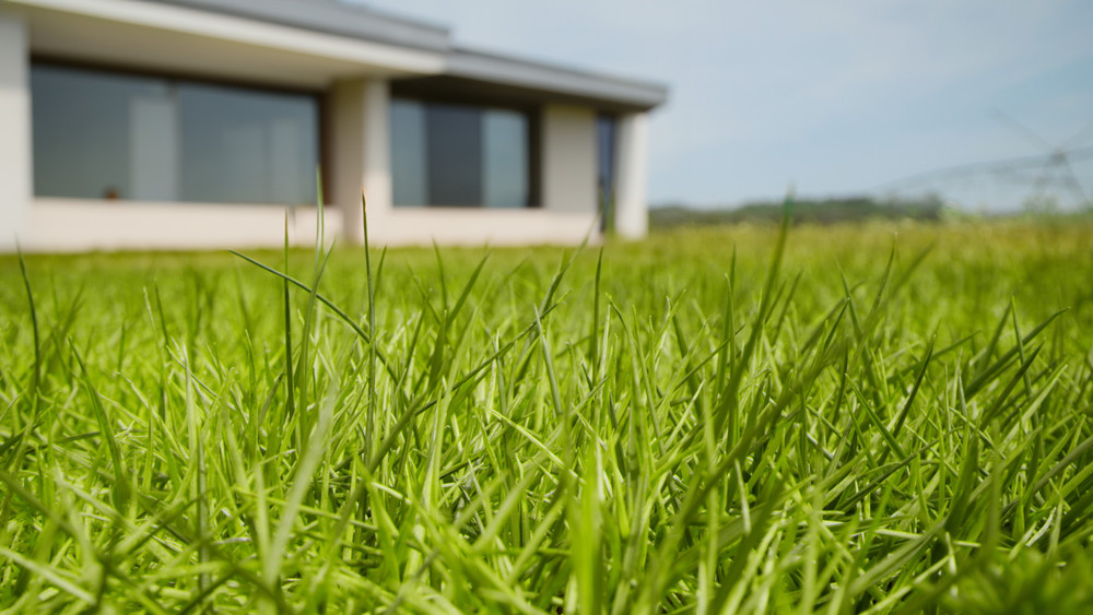 Houston Sod Guide: Best Grass Types, Climate Tips & Maintenance Houston Sod Guide: Best Grass Types, Climate Tips & Maintenance