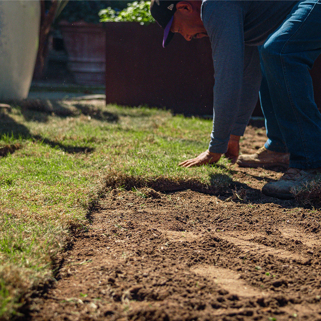 Sod Installation