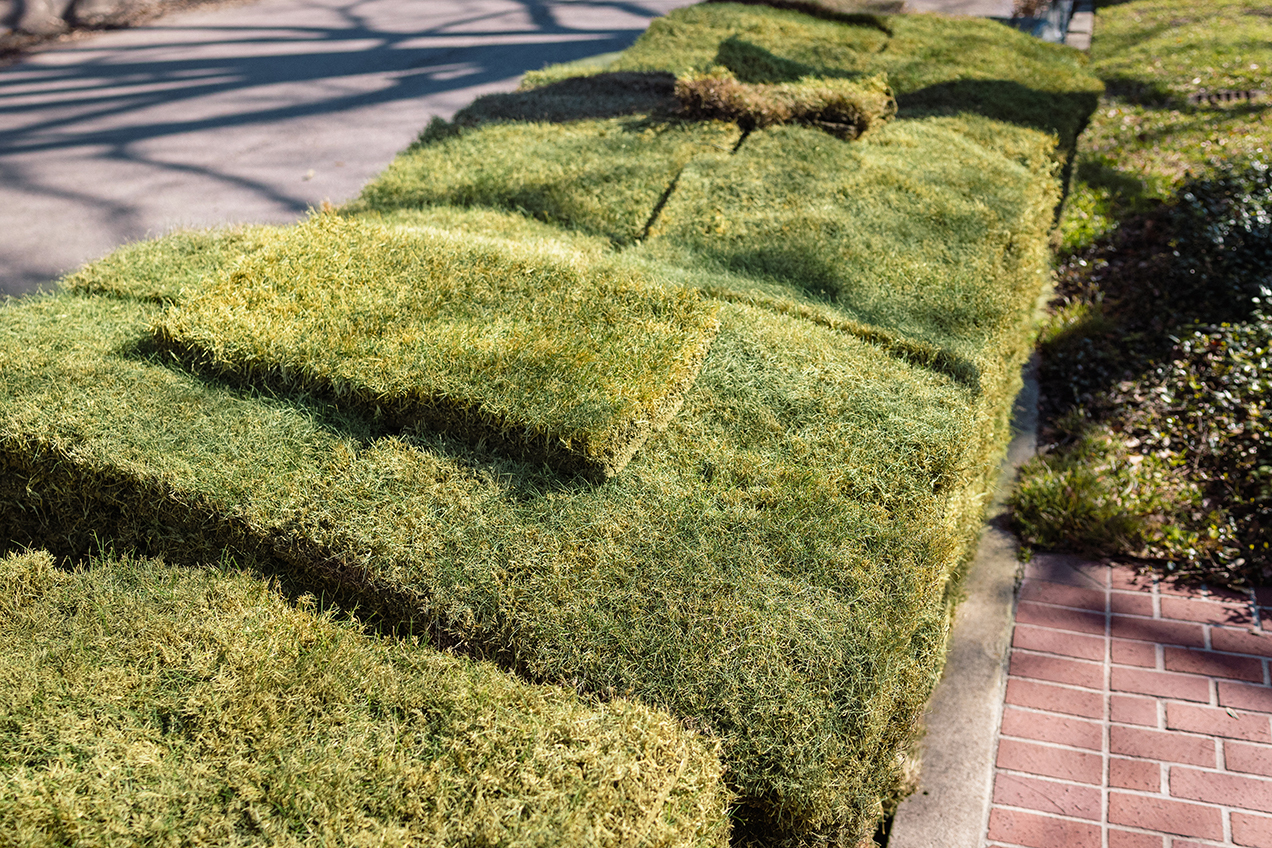 Fresh Sod Delivery